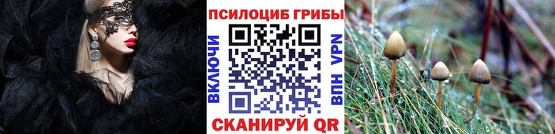 Купить закладки  Рыбное  Псилоцибиновые грибы мухоморы 